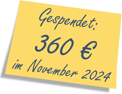 We donated: 360 EUR in November 2024.