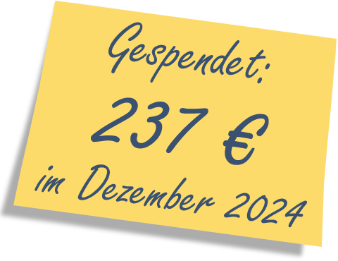 We donated: 237 EUR in December 2024.